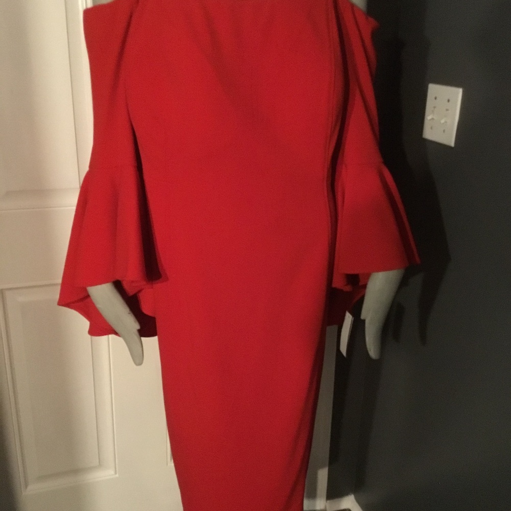 Plus Size Dress - Picture 8 of 8
